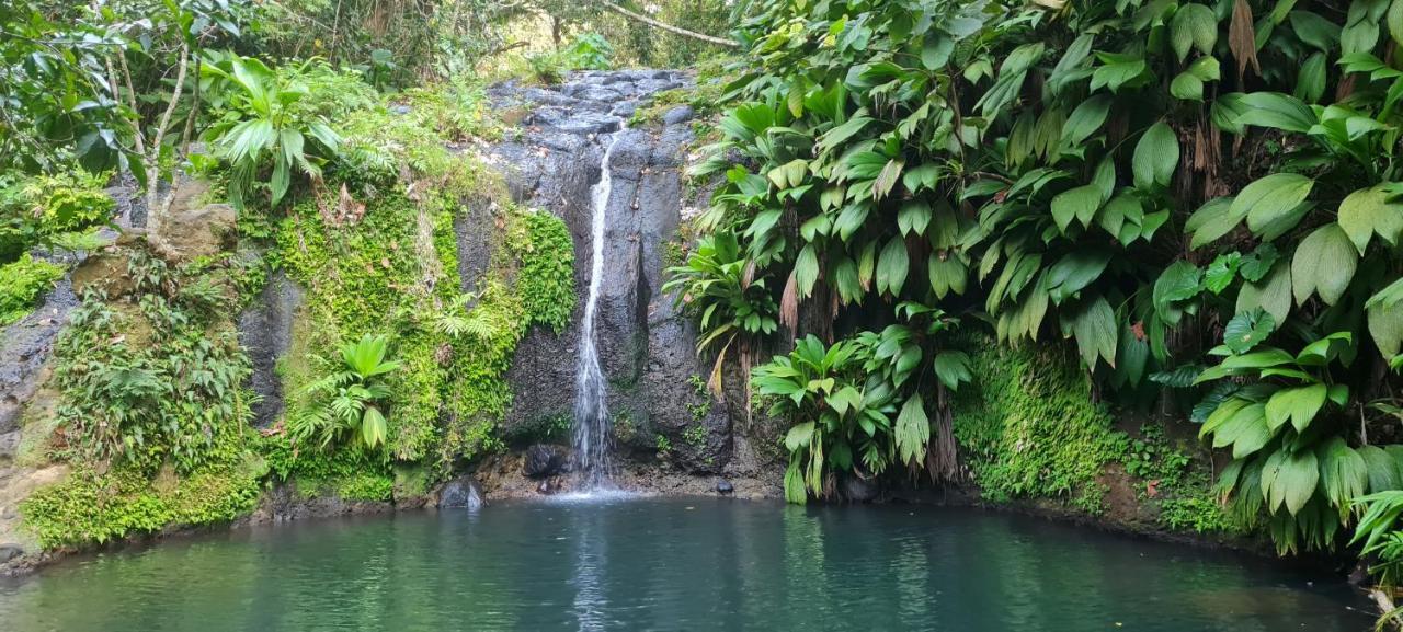 Gite Kaz A Topaze, Piscine, Jardin Tropical Sainte-Rose Bagian luar foto