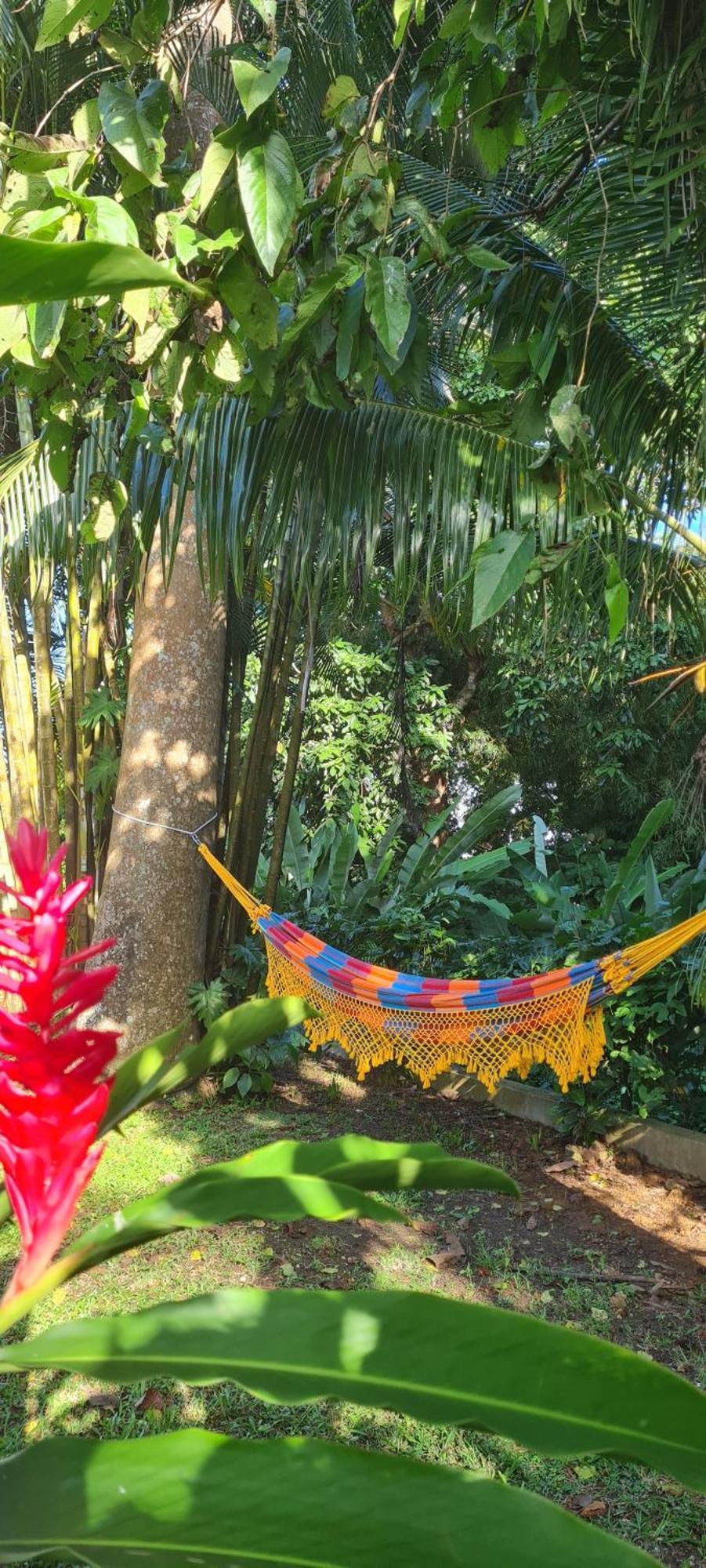 Gite Kaz A Topaze, Piscine, Jardin Tropical Sainte-Rose Bagian luar foto